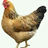 Samwel Ohanga