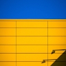 Ronald Grauer