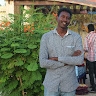 Wed Safi