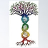 teresa g