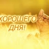 Елена Журавлева