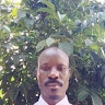 Nicholas Kisembo Byenkya