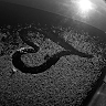 Karl Pütsep