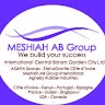 MESHIAH AB. GROUP