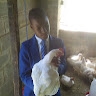 Chenjerai Zanamwe