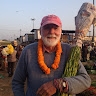Bob Wollam