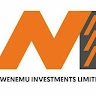 Mwenemu Investments ltd