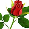 Liz Achieng