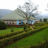 Asiimwe K. Peter