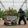 Gboy Farm
