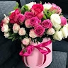 Ирина Сапович
