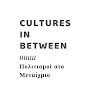 Cultures In Between