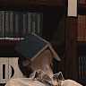 agyare Wise
