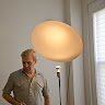 Carlos Pelegrina