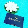 Exotic Tour