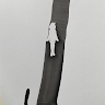 Kate Cannon