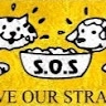 Save Our Strays  