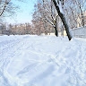 Александр Привен