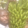 Moshood Mejigbedu