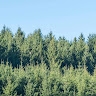 L.Maina  