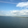 Ariana Chen