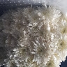 ageno brendah