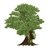 Gaia Speaks