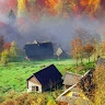 shaban luvanga