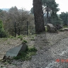 alki dimiza