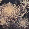 A. Jade Asa
