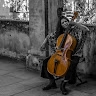 Vera Issel