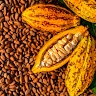 Bolawa Oladokun