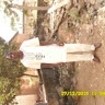 Ademola Ogunesam