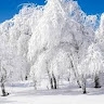 Наталія Катруша