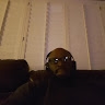 Bigkuntry Boss 702