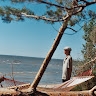Erko Sild