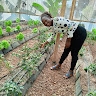 Lillian Nangobi