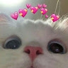 Selina  