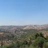 אליעזר סגל
