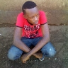 Rocllins Romio