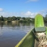 wayateko  