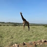 Kiende Macharia