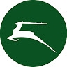 White Stag