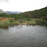 Chipo Chitagu