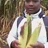 japheth manduvi