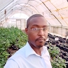 Kizito Zacheous
