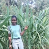 ruth nyambati