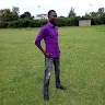 Pellekech Ambrose