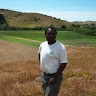 robson Nyirenda