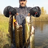 Алексей Чубаков